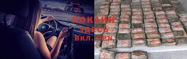 прущие крисы Новокубанск
