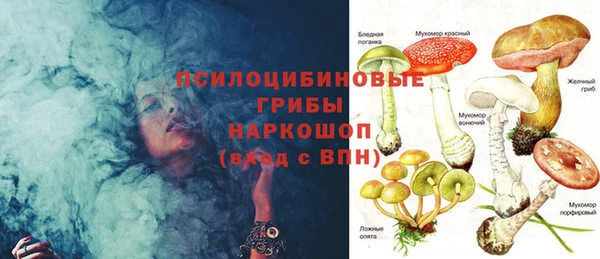 мдпв Нязепетровск