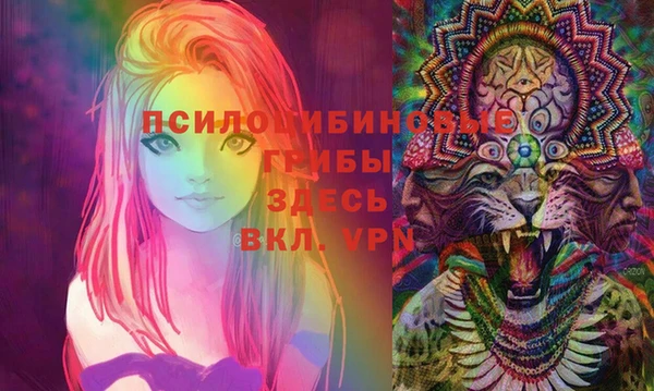 мдпв Нязепетровск