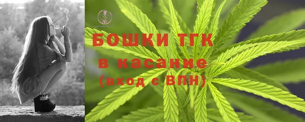 прущие крисы Новокубанск