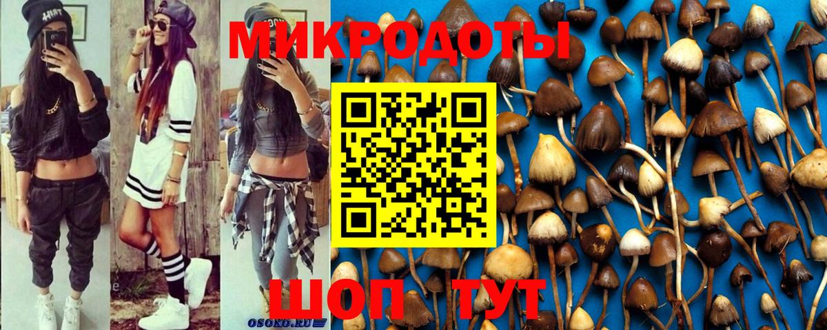 Галлюциногенные грибы MAGIC MUSHROOMS  Вход с VPN  Ковров  Псилоцибиновые грибы мухоморы 